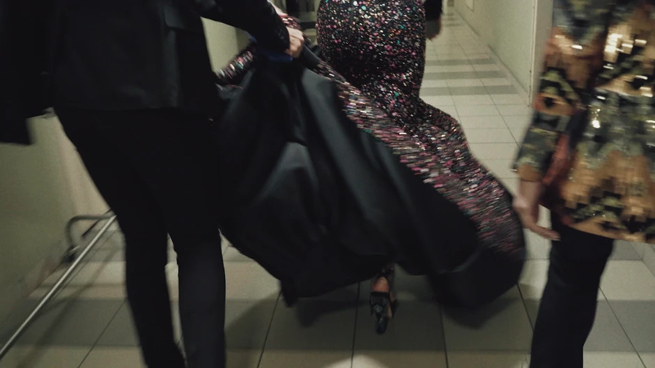 Anastasija Ražnatović, Ceca show