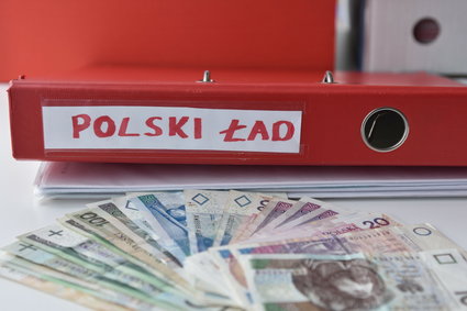 Zarabiają dużo i nie martwią się Polskim Ładem. Mają swoje sposoby na podatki