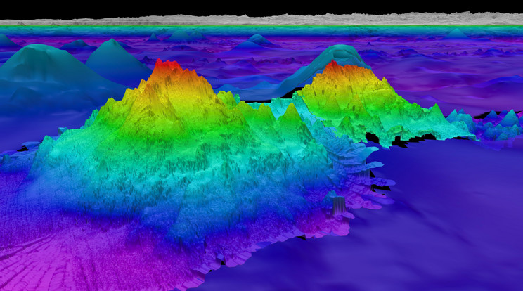 Az újabban felfedezett tenger alatti hegyek / Fotó: Schmidt Ocean Institute