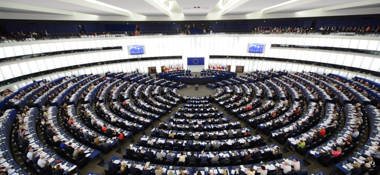 Zemke: Eurodeputowani są podzieleni w ocenie sytuacji na Ukrainie