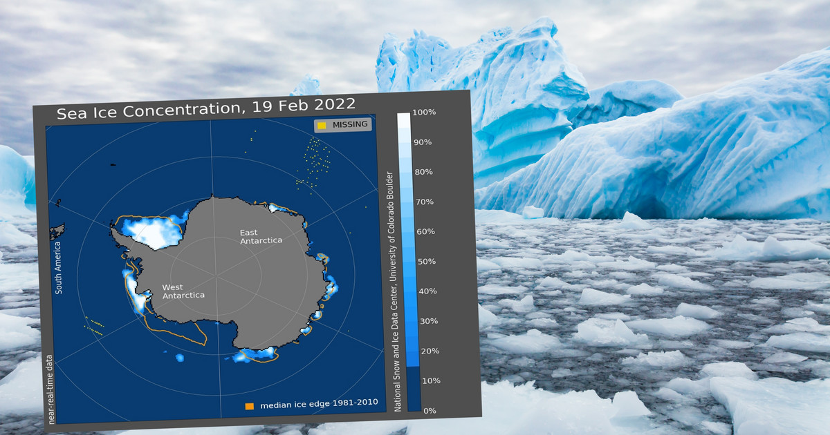 Știri tulburătoare din Antarctica.  Oamenii de știință se întreabă ce se întâmplă