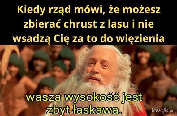 Chrust, benzyna i alergia, czyli tydzień w memach. Daj się rozbawić! - Kobieta