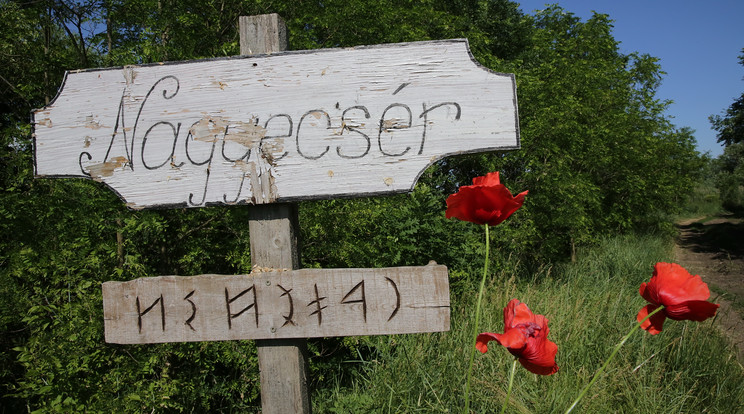 Nagyecsér, a szellemfalu /Fotó: Grnák László