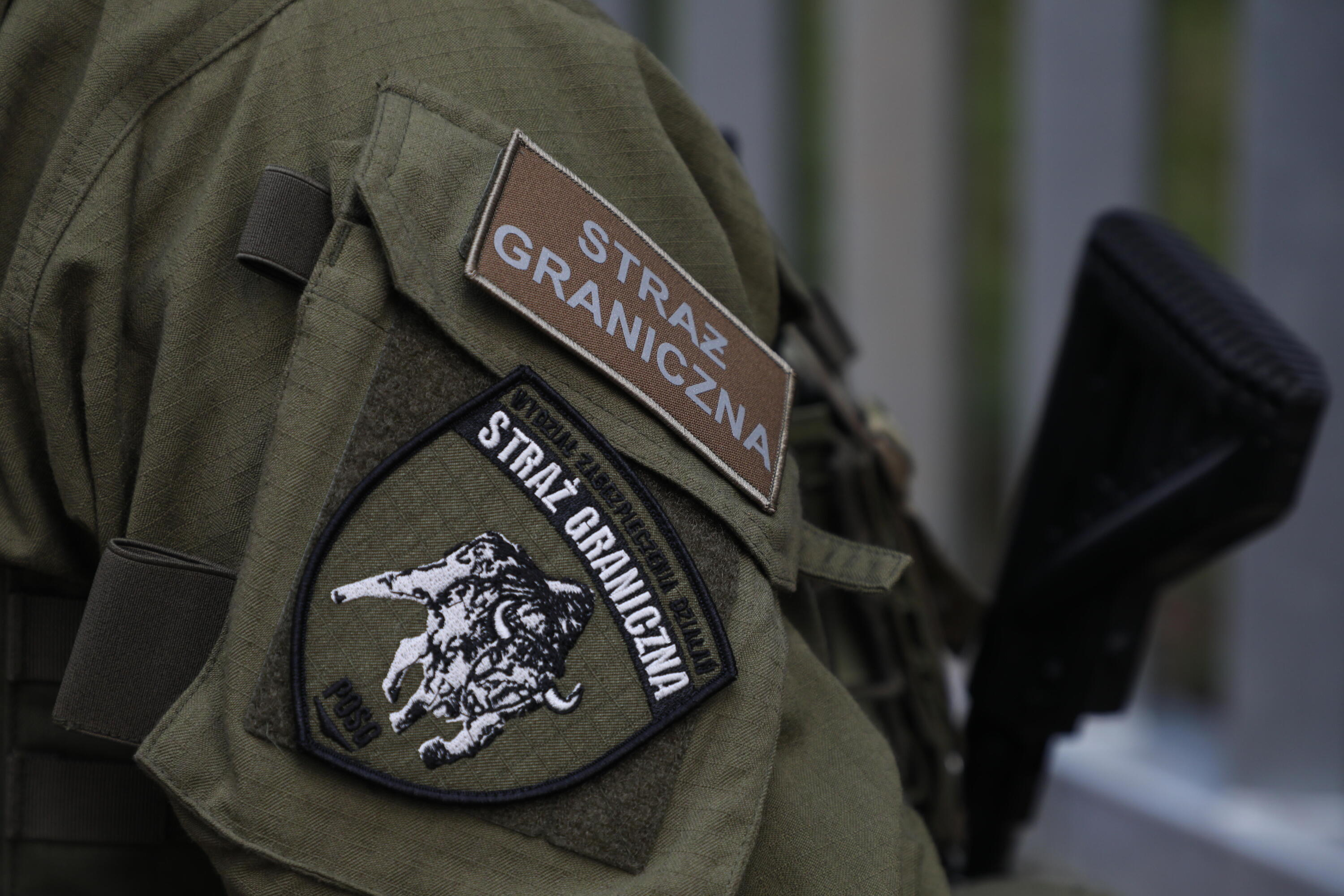 Fałszowali dokumenty dla cudzoziemców: Straż Graniczna zatrzymała 8 osób