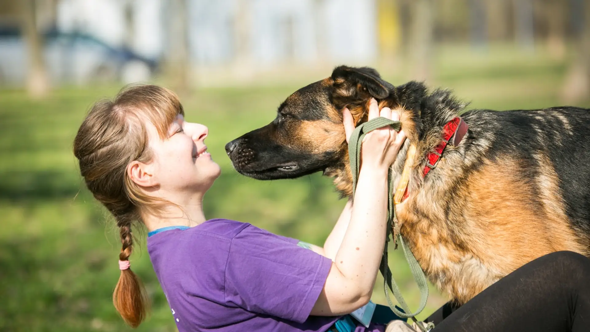 Wolontariuszka z Palucha o covidowych adopcjach i o tym, jak pandemia zmieniła życie w schronisku