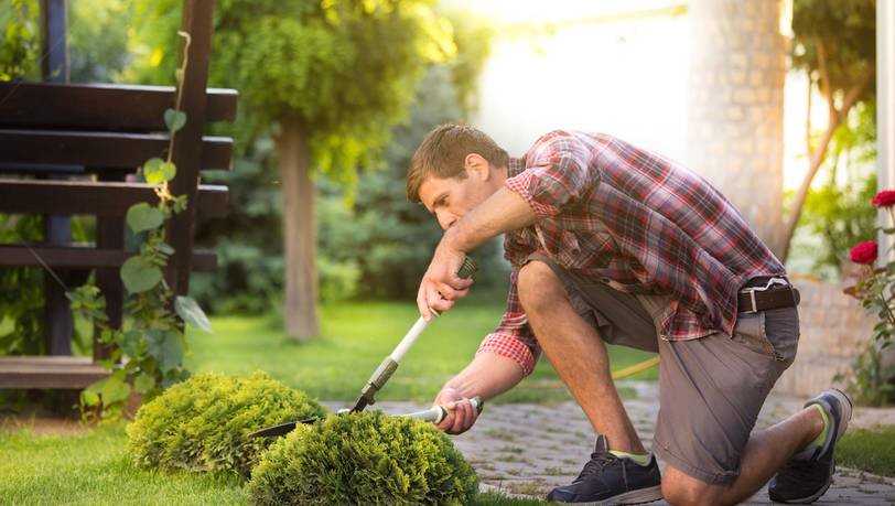 Beliebte Gartenscheren von Gardena bis Löwe im Vergleich