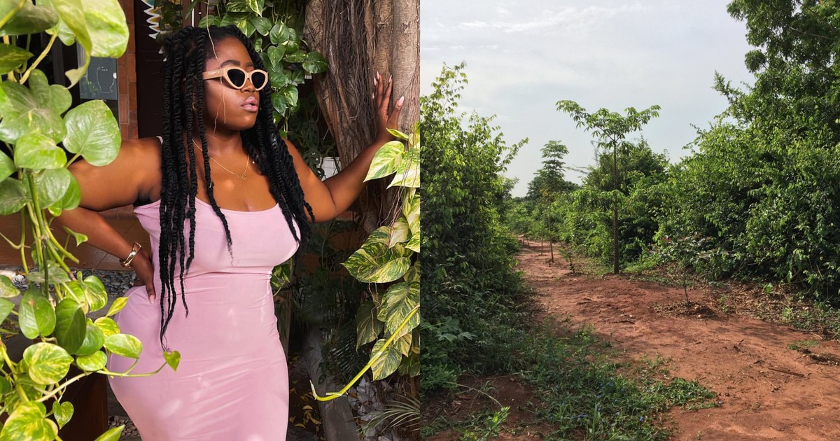 Lydia Forson, Nana Aba, KSM and more speak against Achimota Forest declassification - Vimarsana News