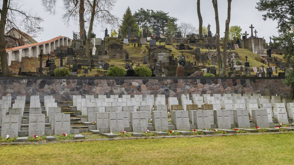Zabytkowy zespół cmentarny w Wilnie, na Rossie