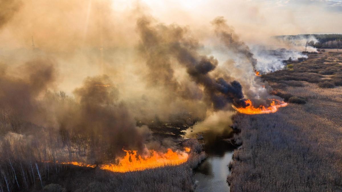 Fot. Volodymyr Shuvayev /AFP/East News