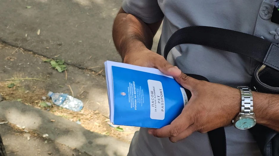 Bora Santana o planovima u Eliti 9