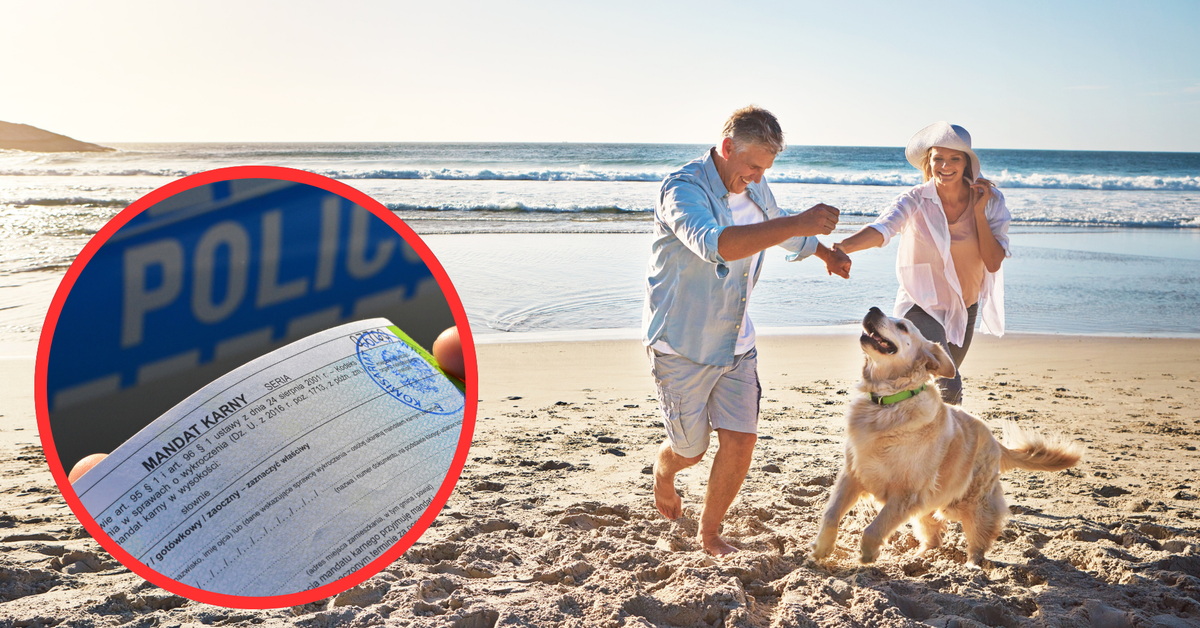 500 zł mandatu za wejście z psem na plażę lub do parku. Zakaz obejmuje także psy asystujące osobom niepełnosprawnym. Czy takie zakazy są legalne?