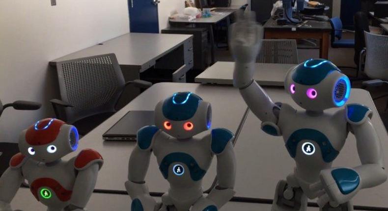 The NAO robots used in the testing