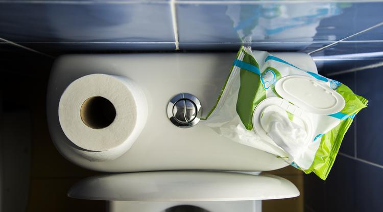 Ez a két probléma van a nedves wc-papírral Fotó: Getty Images