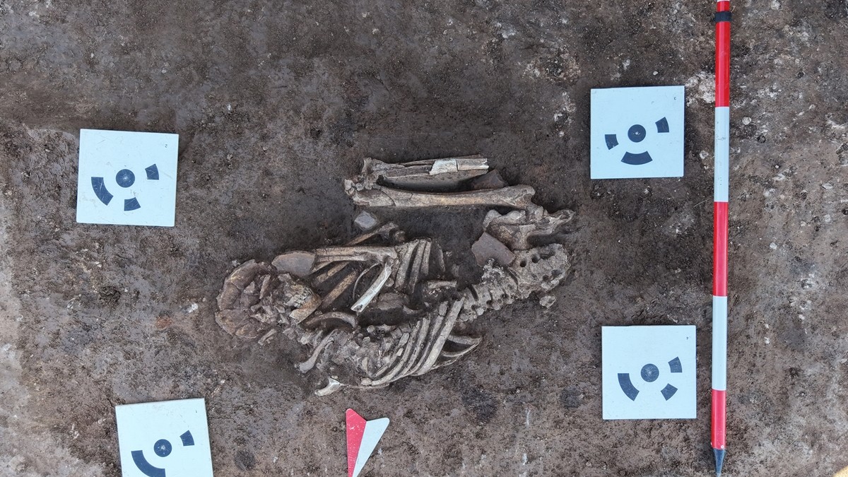 Starčevačka kultura otkriva najstarije grobove kod Niša: Misterija života pre 8.000 godina