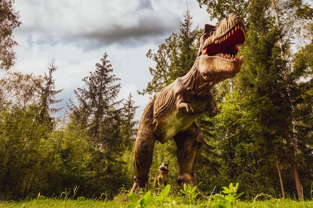 Naukowcy zidentyfikowali nowy gatunek dinozaura, który jest przodkiem słynnego Tyrannosaurus rex
