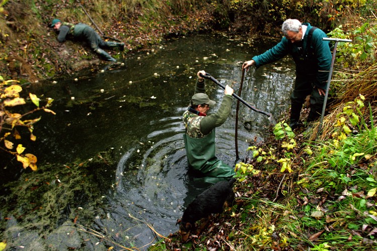 Fotoreportaż Wojtka Jargiło o przenoszeniu bobrów zwyciężył w konkursie BZ WBK PRESS FOTO 2009 w kategorii przyroda