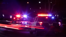 mistrzyni olimpijska aresztowana. sha'carri richardson przekroczyła prędkości