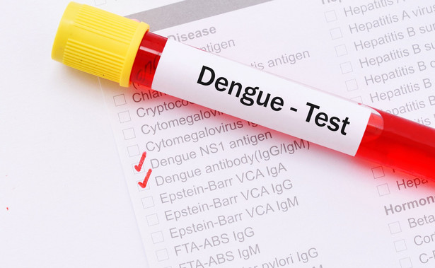 WHO ostrzega: Grozi nam rekordowa liczba przypadków dengi
