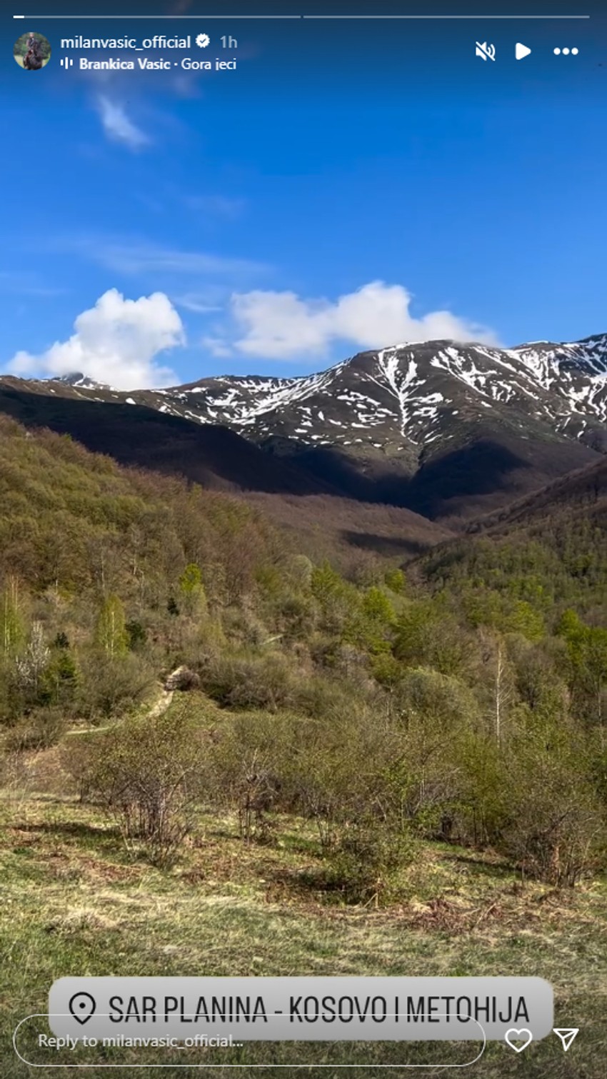 Milan Vasić, objava