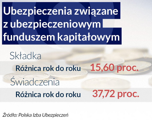 Polisolokaty (infografika Dariusz Gąszczyk)