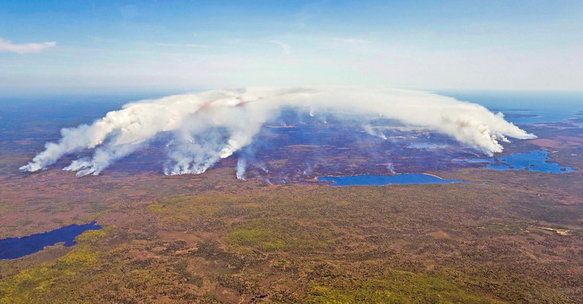 Šumski požari u Kanadi - Nova Škotska