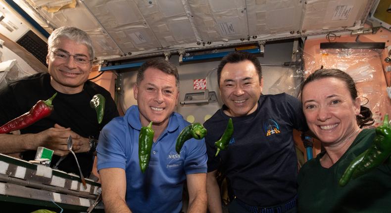Astronauts pictured with the first harvest of chili peppers grown aboard the International Space Station.