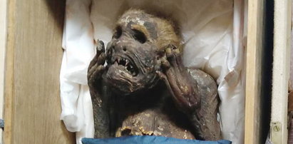 Naukowcy przebadali mumię syreny. Zaskakujące ustalenia