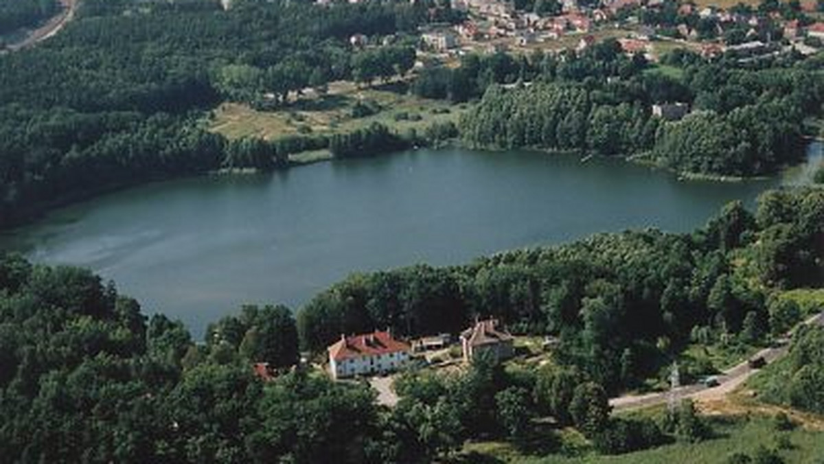 W gminie Torzym (Lubuskie) holenderskie konsorcjum United Mementum Group wspólnie z francuskim inwestorem chce wybudować historyczny park rozrywki. W środę rada miejska Torzymia uchwaliła miejscowy plan zagospodarowania przestrzennego, który zakłada taką inwestycję.