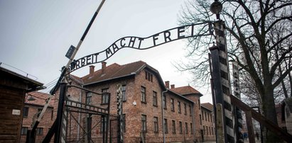 Turyści z Izraela oburzeni pomysłem muzeum Auschwitz: To jak cios w brzuch