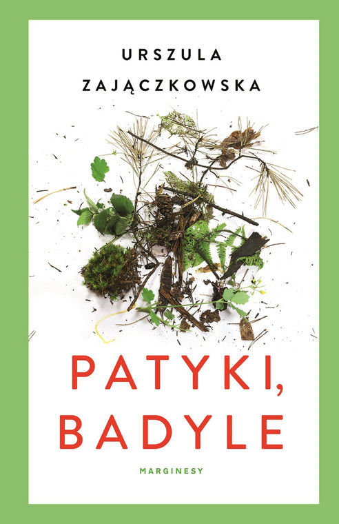 Urszula Zajączkowska, "Patyki, badyle": okładka książki