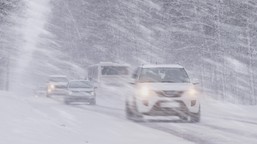 potężna śnieżyca powróci i zasypie całą polskę. meteorolodzy biją na alarm. najtrudniejsze dni dopiero przed nami długoterminowa prognoza pogody imgw luty 2026