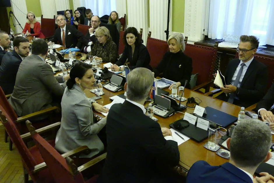 Sastanak delegacije Evropskog parlamenta i opozicije