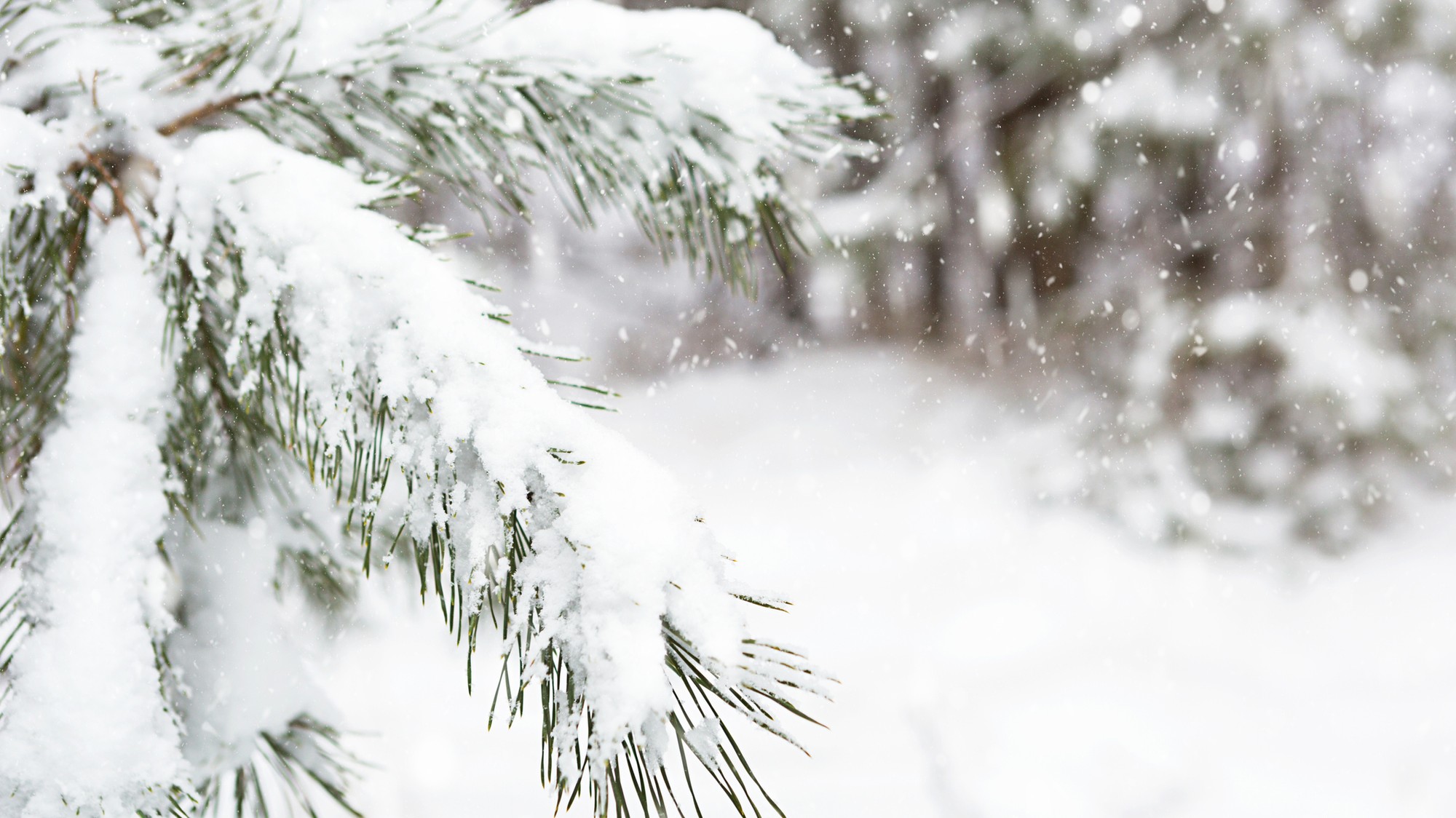 Slováci, pripravte sa na výraznú zmenu počasia: Pozrite, kedy sa vráti ...