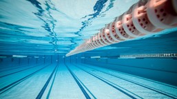 klienci basenu pływali w skażonej wodzie. przez pomyłkę zamknięto niew