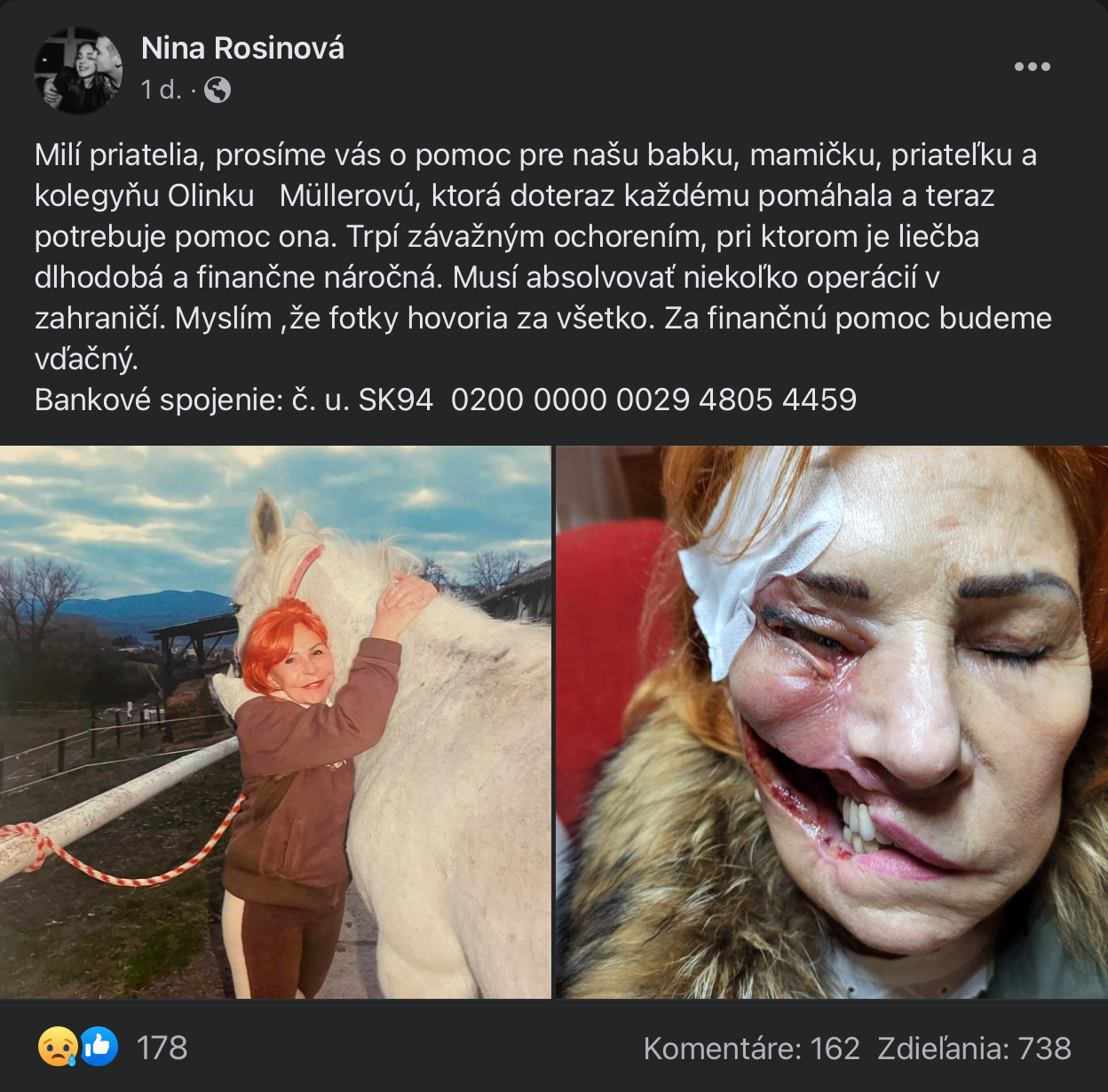 Príspevok Oľginej vnučky Niny