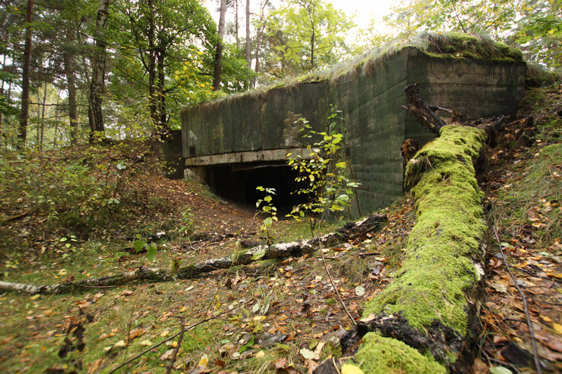 Skoda Yeti wśród fortyfikacji. 100 kilometrów bunkrów Hitlera