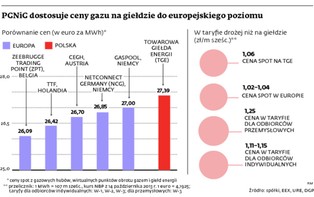 Ceny gazu będą niższe. Ale tylko dla przemysłu