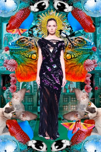 Dragon Fly - kolekcja Bartka Janusza na sylwestra i karnawał 2014