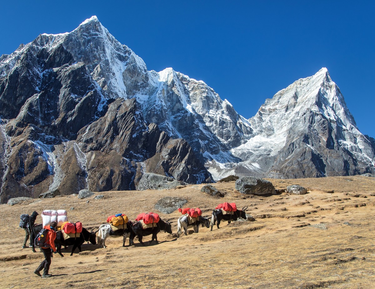 Nepal zwalnia z opłat za wspinaczkę na blisko 100 himalajskich szczytów
