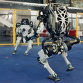Oto genialny taniec robotów od Boston Dynamics [WIDEO]