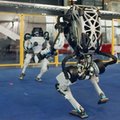 Oto genialny taniec robotów od Boston Dynamics [WIDEO]