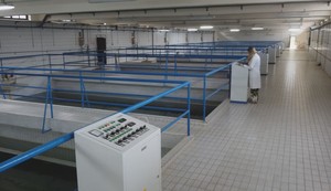 Fabrika vode Rzav