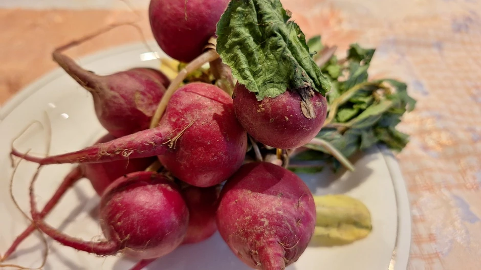 Najefikasnije je koristiti sok od rotkvica u kombinaciji sa drugim povrćem i voćem, poput šargarepe i jabuka