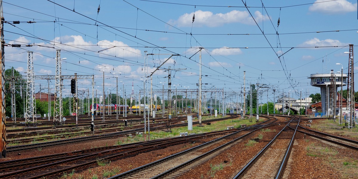 W roku rozpoczną się pierwsze przetargi na projekty linii kolejowych do Centralnego Portu Komunikacyjnego. W najbliżej dekadzie ma być zbudowana przynajmniej tzw. sieć Y, czyli połączenie mającego powstać w Baranowie lotniska z Warszawą, Łodzią, Poznaniem i Wrocławiem.