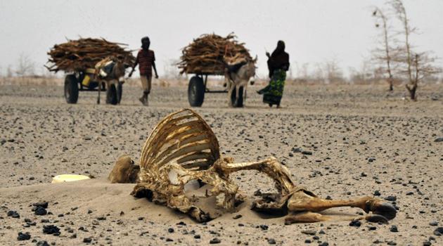 An area in Kenya hit by drought 