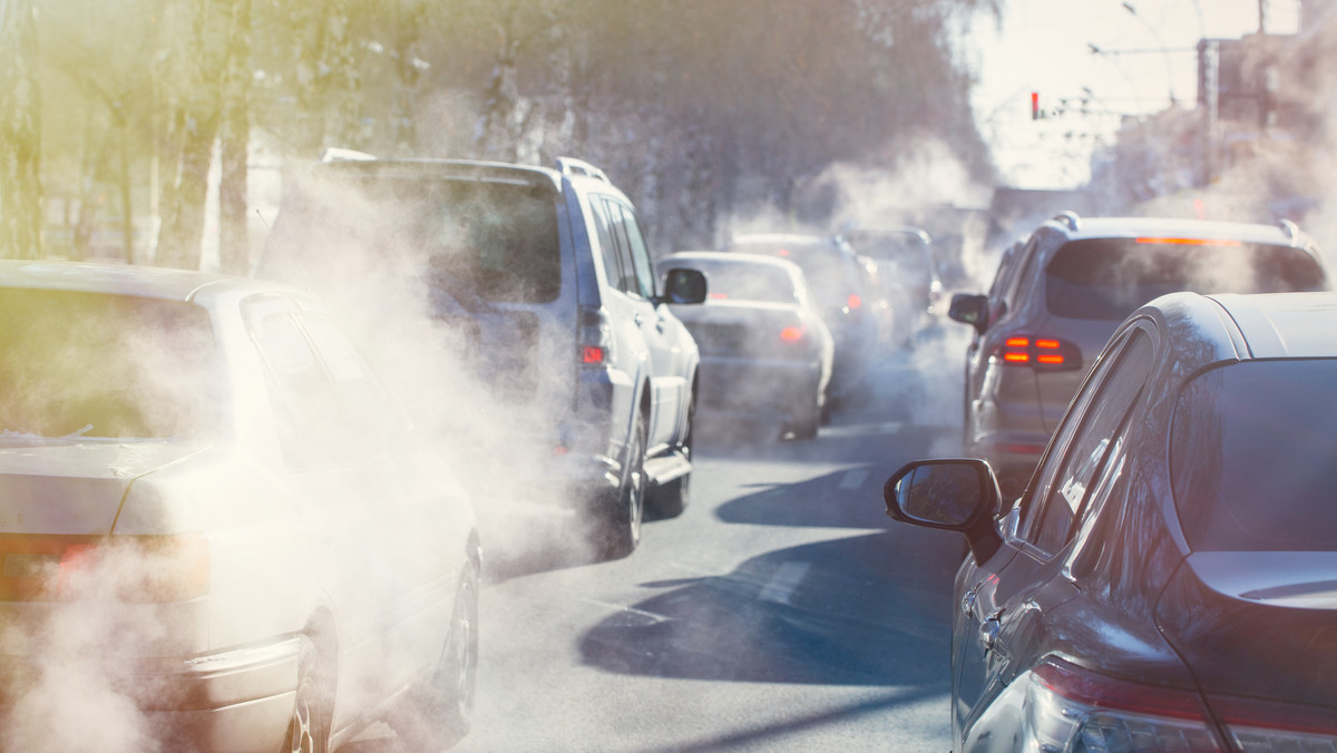 Smog w Polsce. Dzieci z Rybnika zagrożone. Szokujące wyniki badań