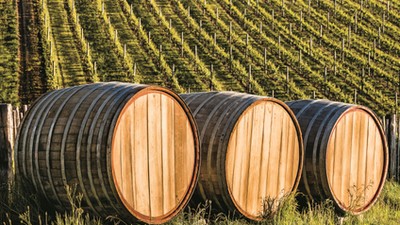 three wood barrels in vineyard