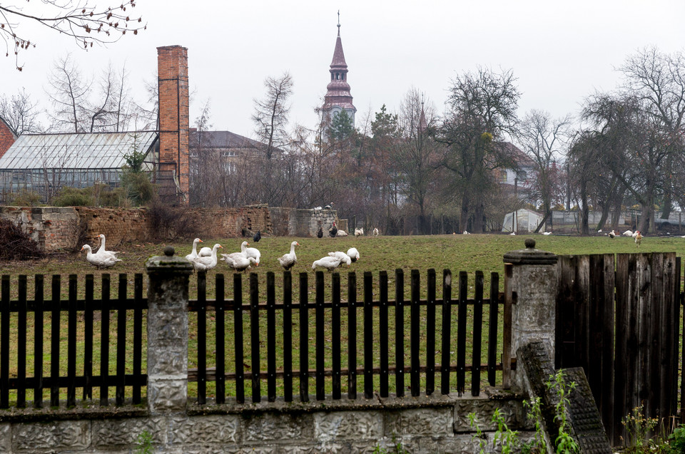 Od 2012 roku trwa przenoszenie miejscowości Nieboczowy do nowo budowanej osady o tej samej nazwie