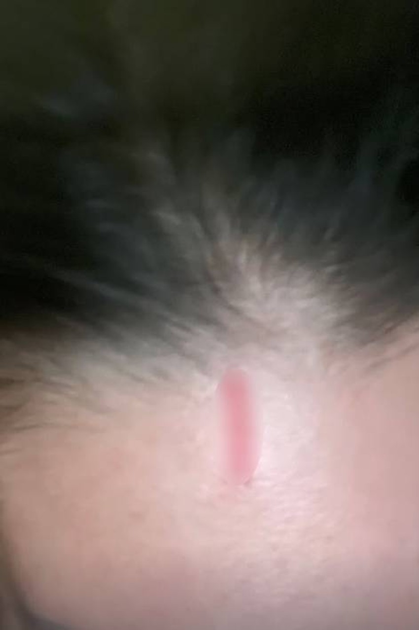 Maja Marinković, objava