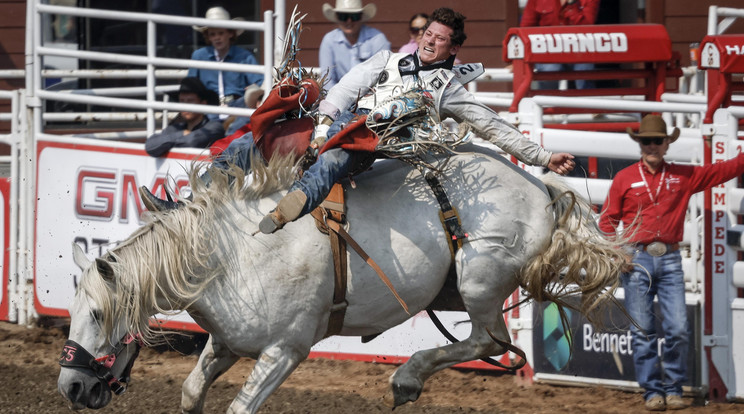 Calgary Stampede Rodeo verseny / fotó: Northfoto